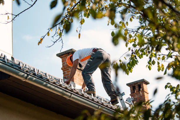 Roof Waterproofing Services in Larkspur, CA