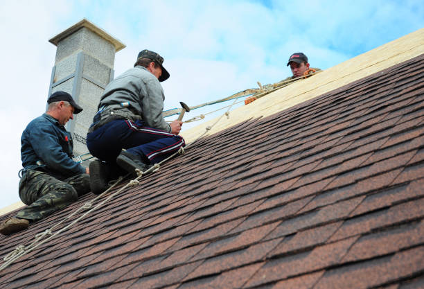 Best Roof Restoration Services  in Larkspur, CA