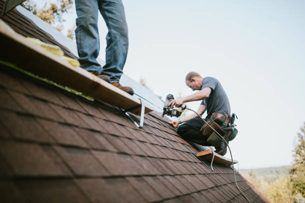 Best Roof Repair Services  in Larkspur, CA