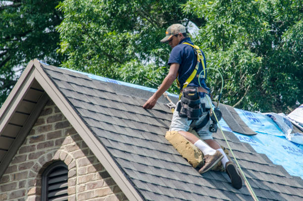Best Roof Maintenance Services  in Larkspur, CA